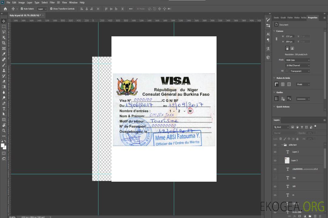 Visa de voyage NIGER template